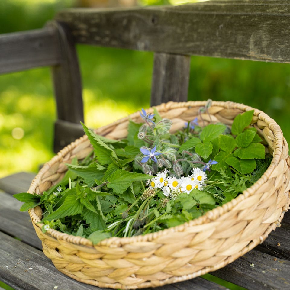 Ingredients for wild herb salt