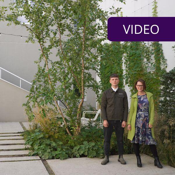 how a Soviet building turned into a cozy courtyard