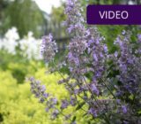 Landscaping while spending less: 7 practical tips