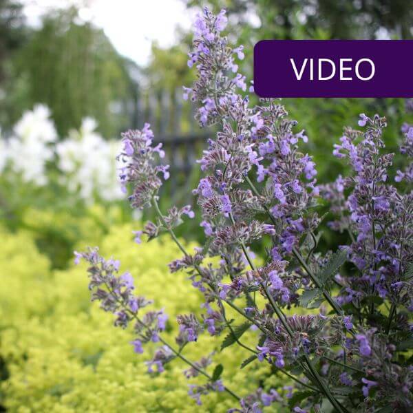 Landscaping while spending less: 7 practical tips