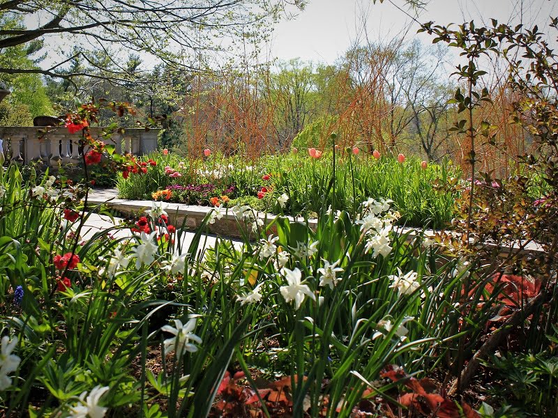 Flower festivals 2018. Spring is not only work in the garden, but also the pleasure of visiting flower festivals and other events. Automatic photo R. Laurinavičienė