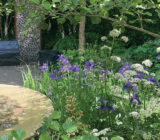 from grandmother’s garden to the most fashionable gardens