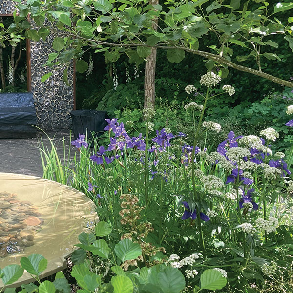 from grandmother’s garden to the most fashionable gardens