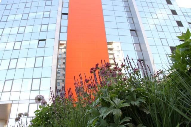 Project in Riga. ALPI photography studio