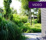 A small garden, a hundred possibilities: here is a concrete example