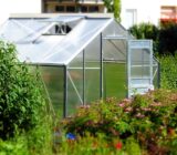 Greenhouse in spring or how to prepare a greenhouse after winter