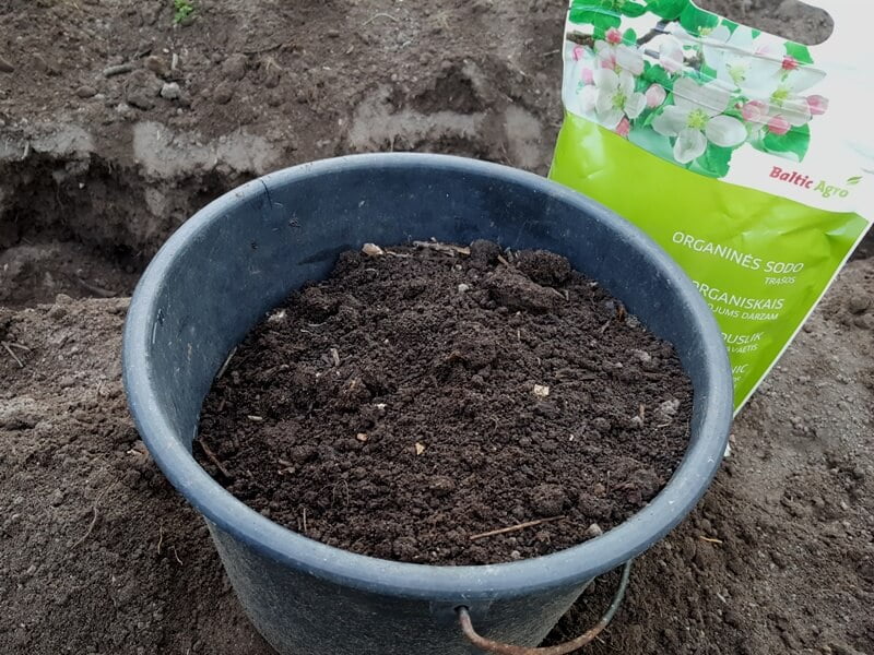 Mugwort plantation: compost