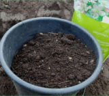 specific instructions for the first sowing