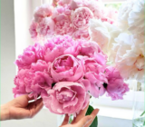 Peonies in a bouquet – 3 tips from a farm of harvested peonies
