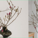How to make branches bloom and which branches are suitable for this