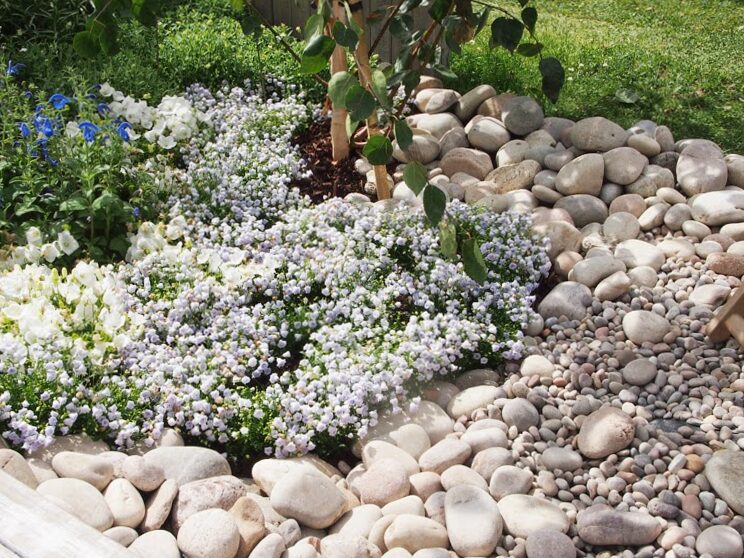 3 ways to clean the gaps between pebbles - without chemicals!