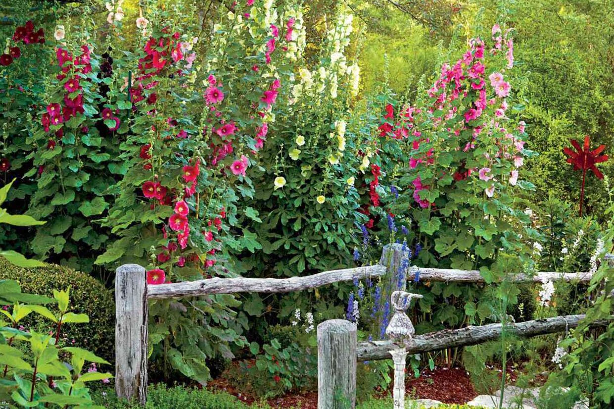 from grandmother's garden to the most fashionable gardens