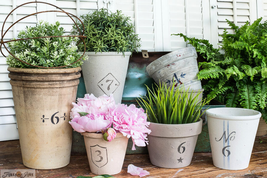 learn designer tricks for pots and plants