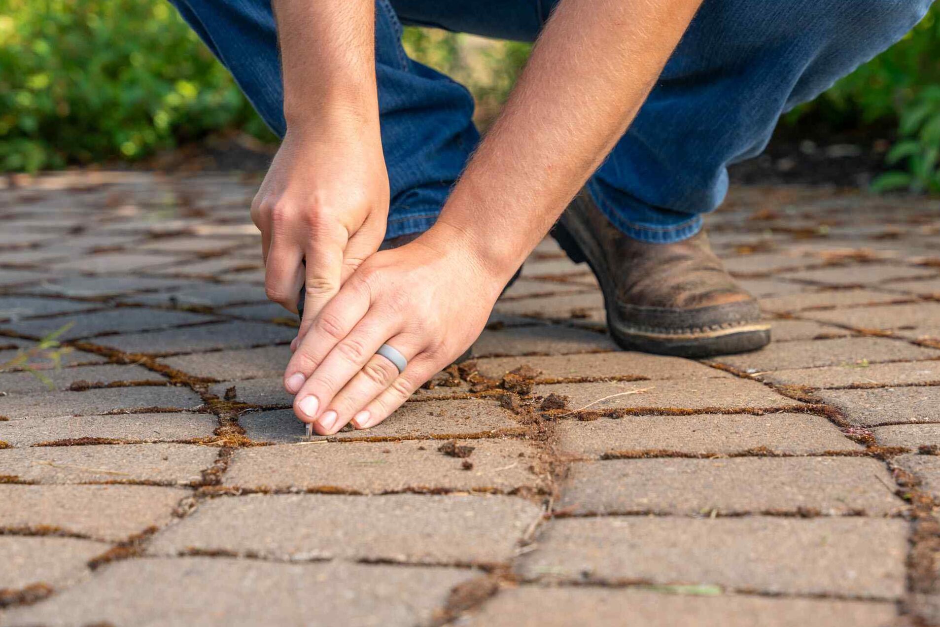 Remove weeds and moss between pavers