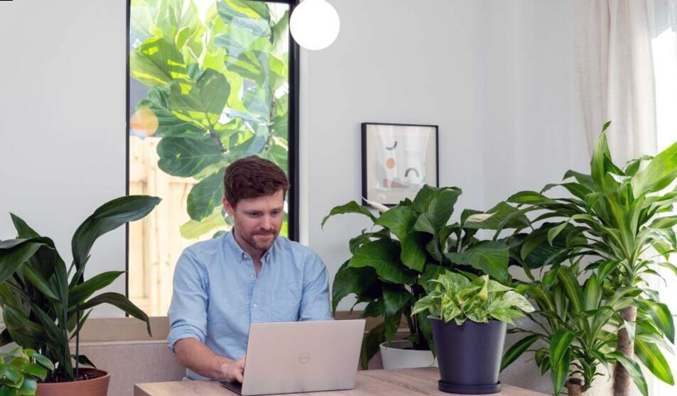how to plan your work wisely | First step: overview of available plants