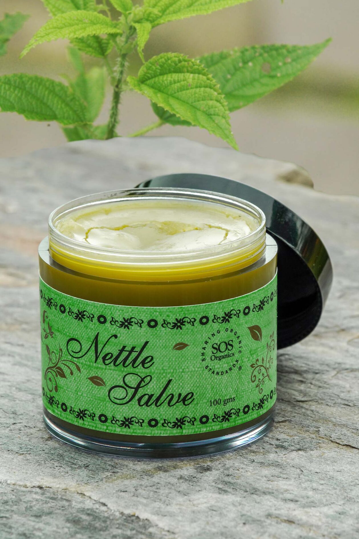 Nettle ointment in November - create your own forgotten healing power