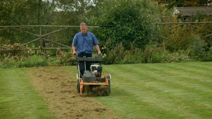 why, when and how to do it | WHAT IS LAWN SCARIFICATION AND WHY DO YOU NEED IT?